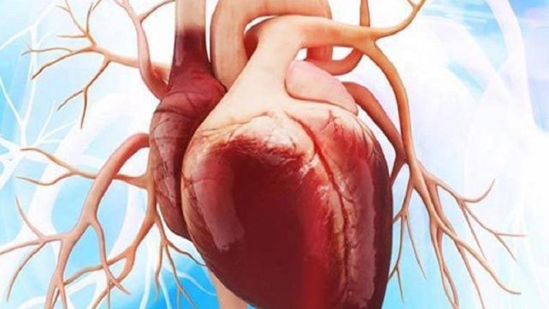 متخصص قلب اصفهان آنژیوگرافی اصفهان