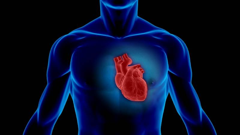 بررسی علل بروز میوکاردیت | متخصص قلب اصفهان