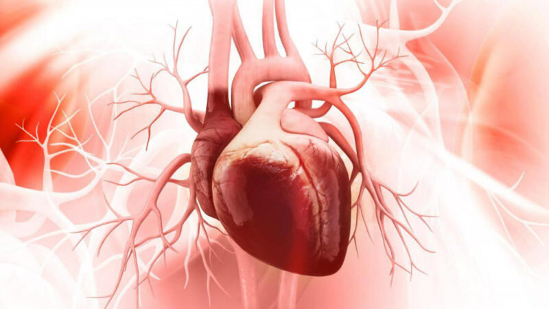 پیشگیری از کاردیومیوپاتی | متخصص قلب اصفهان
