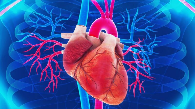 روش های درمان بیماری میوکاردیت | متخصص قلب اصفهان