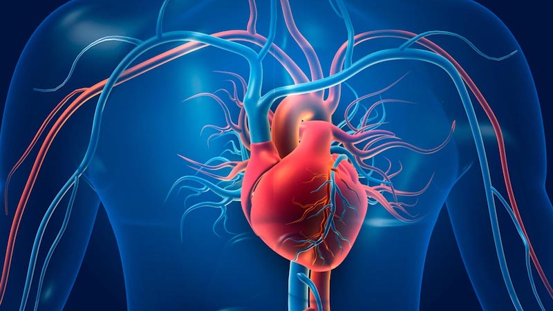 روش های درمان بیماری میوکاردیت | متخصص قلب اصفهان