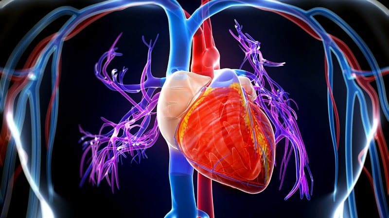روش های درمان بیماری کاردیومیوپاتی | متخصص قلب اصفهان