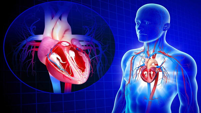 علایم بالینی پرولاپس | بهترین متخصص واریس اصفهان - متخصص قلب اصفهان