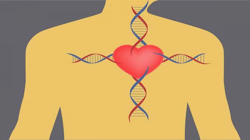 دکتر مهرداد طاهریون (بهترین متخصص واریس اصفهان - متخصص قلب اصفهان)