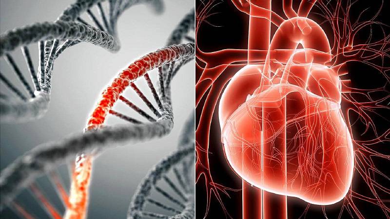 نقش فاکتورهای ژنتیکی در پیشرفت همزمان واریس و بیماری‌های قلبی | دکتر مهرداد طاهریون (بهترین متخصص واریس اصفهان - متخصص قلب اصفهان)