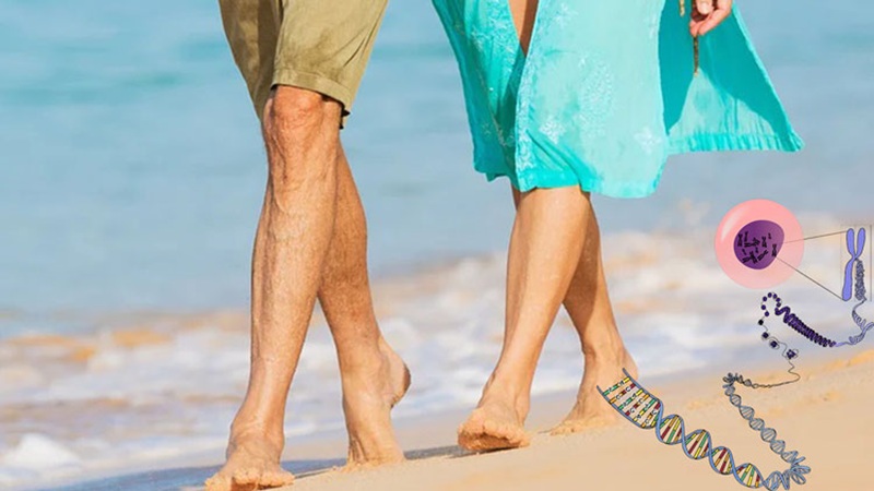 نقش ژنتیک در بروز واریس | دکتر مهرداد طاهریون (بهترین متخصص واریس اصفهان - متخصص قلب اصفهان)
